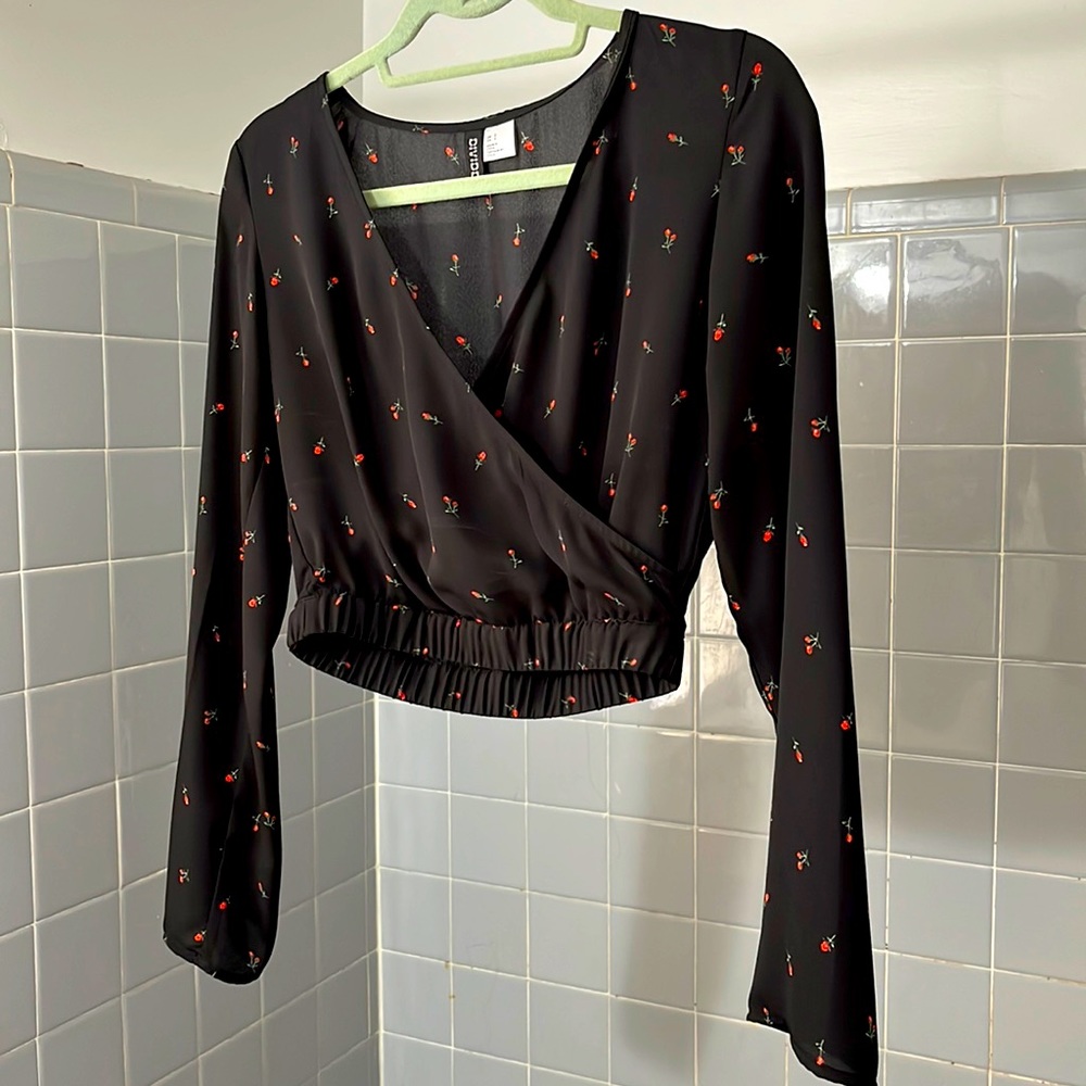 Sheer Black Long Sleeve Crop Top with Rose Details